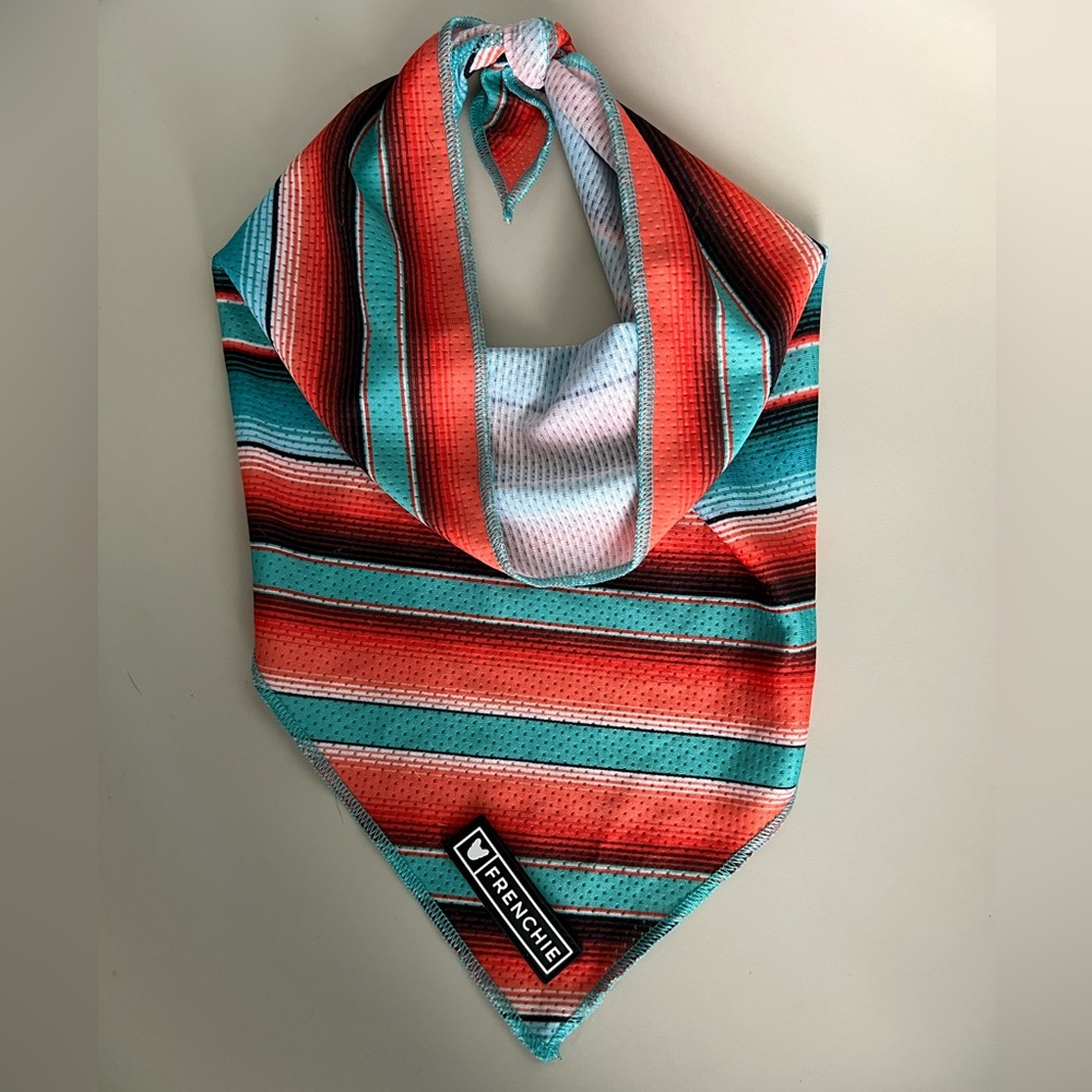 Frenchie Striped Cooling Bandana - orange , Blue, Black